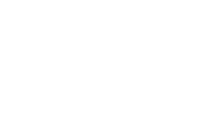 Affordable Roofing Systems