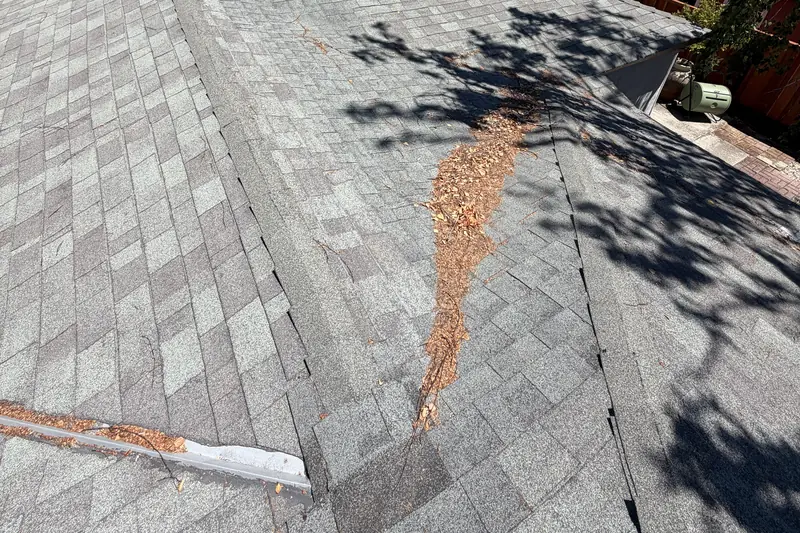A roof valley collecting leaves and debris where two slopes meet