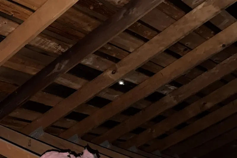 Attic rafters and roof boards seen from inside, with gaps between the boards