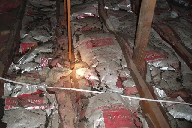 Dark, stained attic insulation between wood framing