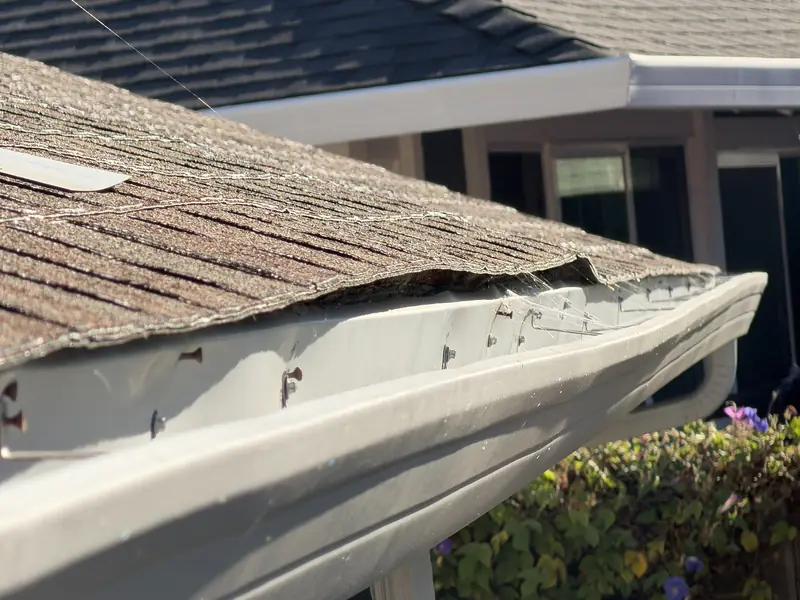 Old shingles sagging and curling over the edge of a roof above the gutter